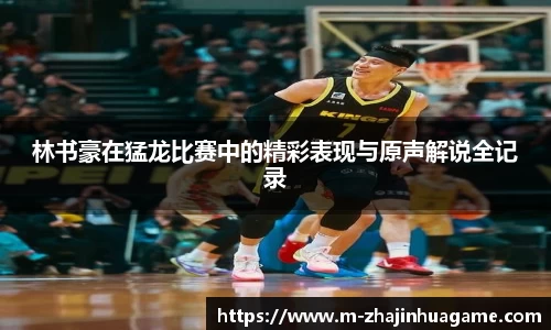 林书豪在猛龙比赛中的精彩表现与原声解说全记录