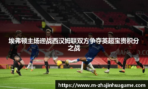 埃弗顿主场迎战西汉姆联双方争夺英超宝贵积分之战