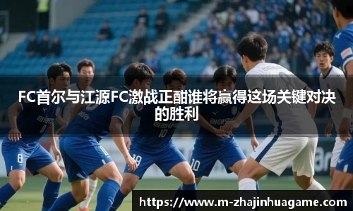FC首尔与江源FC激战正酣谁将赢得这场关键对决的胜利