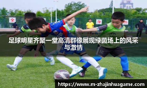 足球明星齐聚一堂高清群像展现绿茵场上的风采与激情